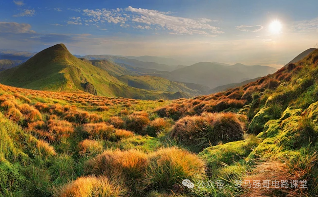 图片[1]-招不满！24年只刷3人，上线就要！-电气考研