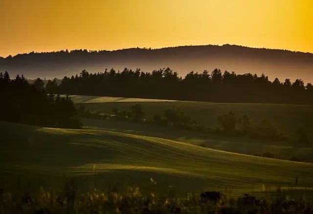 图片[1]-复试不及格也能捞的良心学校？！-电气考研