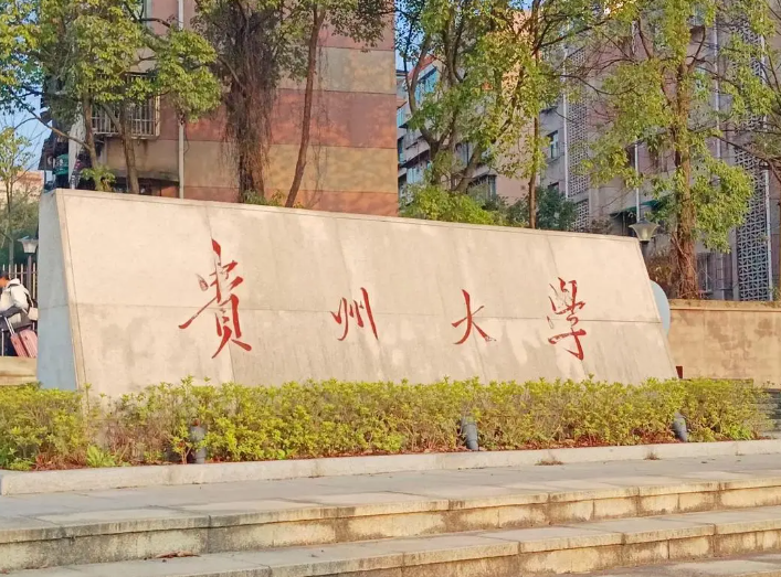 图片[1]-省内唯一211，录取最低国家线！贵州大学923-电气考研